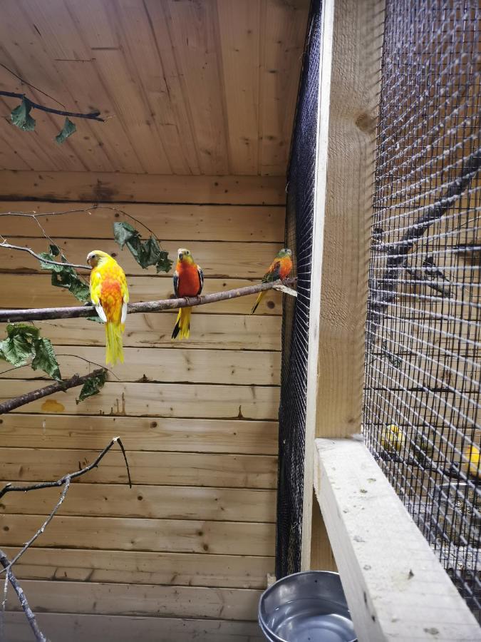 Casa Hibiscus Lejlighed Putbus Eksteriør billede